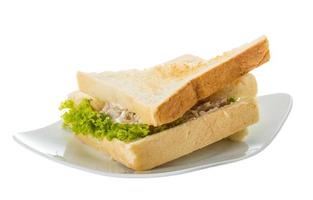 Tuna sandwich on the plate and white background photo