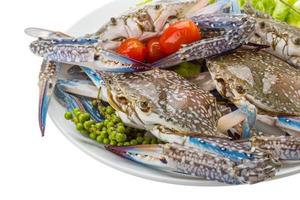 Raw blue crab on the plate and white background photo