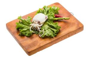 Boiled cuttlefish on wooden board and white background photo