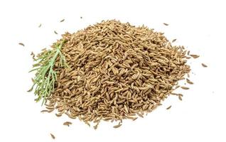 Caraway heap on white background photo