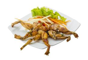 Grilled frog legs on the plate and white background photo
