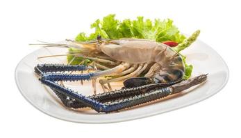 Freshwater prawn on the plate and white background photo