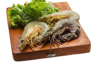 Tiger prawn on wooden board and white background photo