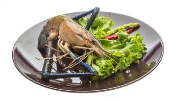 Freshwater prawn on the plate and white background photo