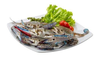 Raw blue crab on the plate and white background photo