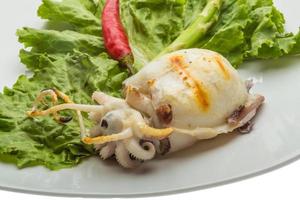 Grilled cuttlefish on the plate and white background photo