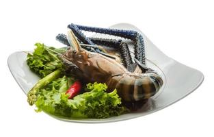 Freshwater prawn on the plate and white background photo