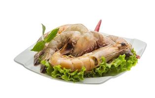 King Prawn on the plate and white background photo