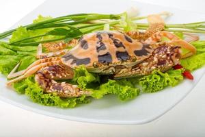 Raw red crab on the plate and white background photo