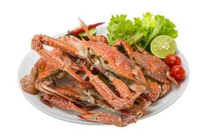 Boiled blue crab on the plate and white background photo