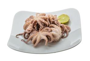 Boiled octopus on the plate and white background photo