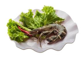 Tiger prawn on the plate and white background photo