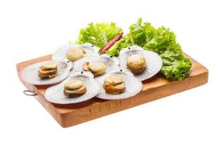 Grilled scallops on wooden board and white background photo