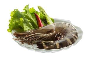 Tiger prawn on the plate and white background photo