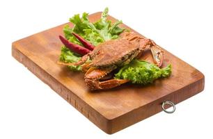 Boiled crab on wooden board and white background photo