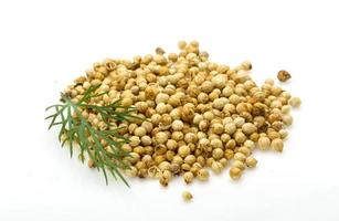 Coriander seeds on white background photo