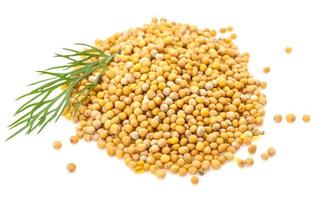 Mustard seeds heap photo