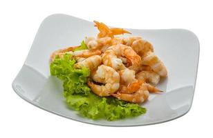 Shrimps cocktail on the plate and white background photo