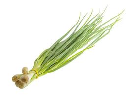 Green onion on white background photo