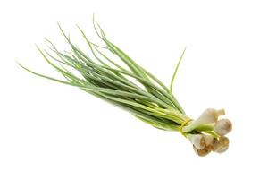 Green onion on white background photo