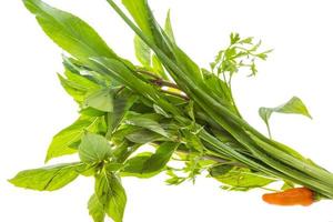 Asian herbs on white background photo