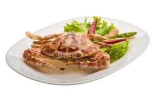 Red crab on the plate and white background photo