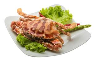 Red crab on the plate and white background photo