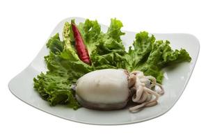 Boiled cuttlefish on the plate and white background photo