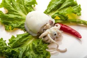 Boiled cuttlefish close up view photo