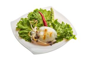 Grilled cuttlefish on the plate and white background photo