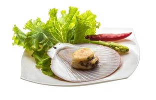 Grilled scallops on the plate and white background photo