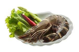 Tiger prawn on the plate and white background photo