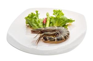 Tiger prawn on the plate and white background photo