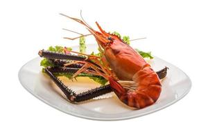 Giant Freshwater Prawn photo