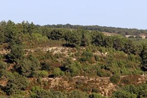 Landscape in the mountains in northern Israel. photo