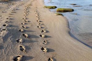 Footprints in the sand on the shores of the Mediterranean Sea. photo