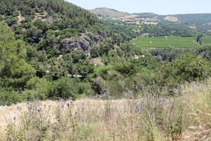 Landscape in the mountains in northern Israel. photo