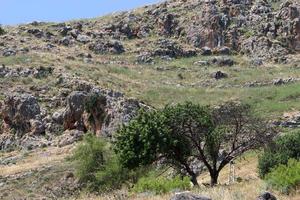 Rocks and cliffs in the mountains in northern Israel. photo