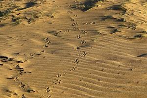 Footprints in the sand on the shores of the Mediterranean Sea. photo