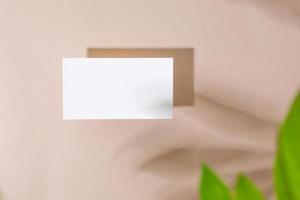 Template paper with green plant shadow on pastel beige background , great design for any purposes. Abstract background. Banner template. Advertising photo