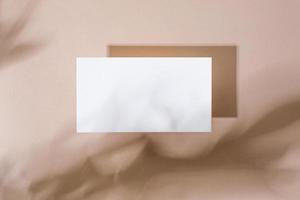 Template paper with green plant shadow on pastel beige background , great design for any purposes. Abstract background. Banner template. Advertising photo