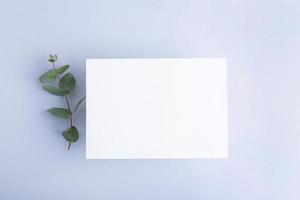 Template paper with green plant shadow on pastel beige background , great design for any purposes. Abstract background. Banner template. Advertising photo