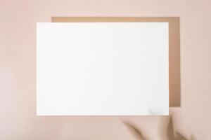 Template paper with green plant shadow on pastel beige background , great design for any purposes. Abstract background. Banner template. Advertising photo