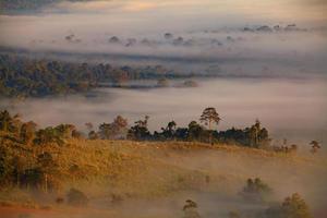 Fog in morning sunrise at Khao Takhian Ngo View Point at Khao-kho Phetchabun,Thailand photo