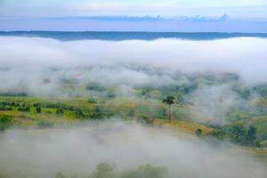 Fog in forest with morning sunrise at Khao Takhian Ngo View Point at Khao-kho Phetchabun,Thailand photo