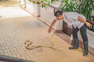 Bangkok.Thailand- 7 October 2017.Snake Show in Thailand Snake Farm bangkok city Thailand photo