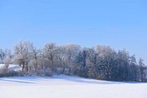 Winter landscape in Bavaria with trees and snow, wide fields covered with snow, in front of a blue sky photo