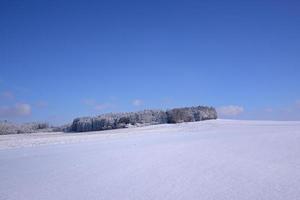 Winter landscape in Bavaria with trees and snow, wide fields covered with snow, in front of a blue sky photo