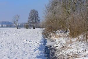 paisaje invernal en baviera con un estrecho arroyo a un lado, pequeños árboles secos y un campo cubierto de nieve al lado foto