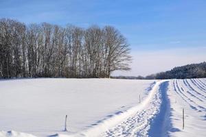Landscape in winter with a path through the snow, trees and blue sky in the background photo